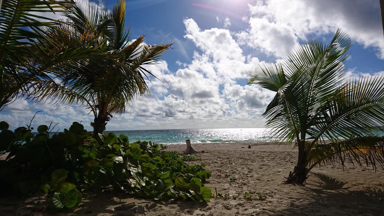 Almaplena Boutique Hotel Mahahual Eksteriør billede