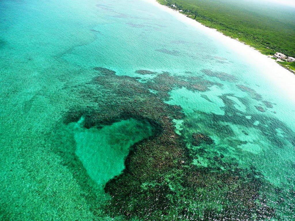 Almaplena Boutique Hotel Mahahual Eksteriør billede